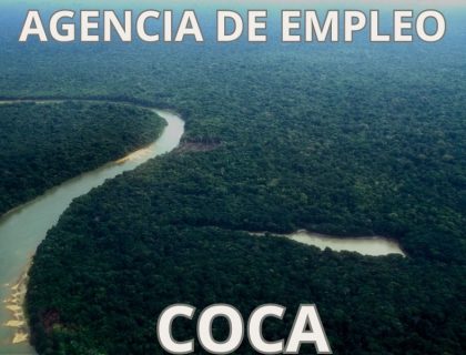 socio empleo coca